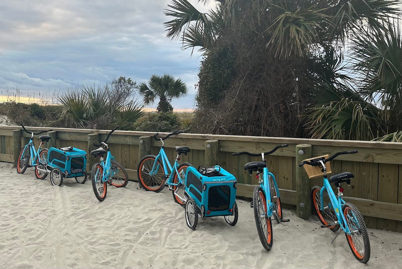 Alljoy Bike & Beach Rentals - Tiny Guide