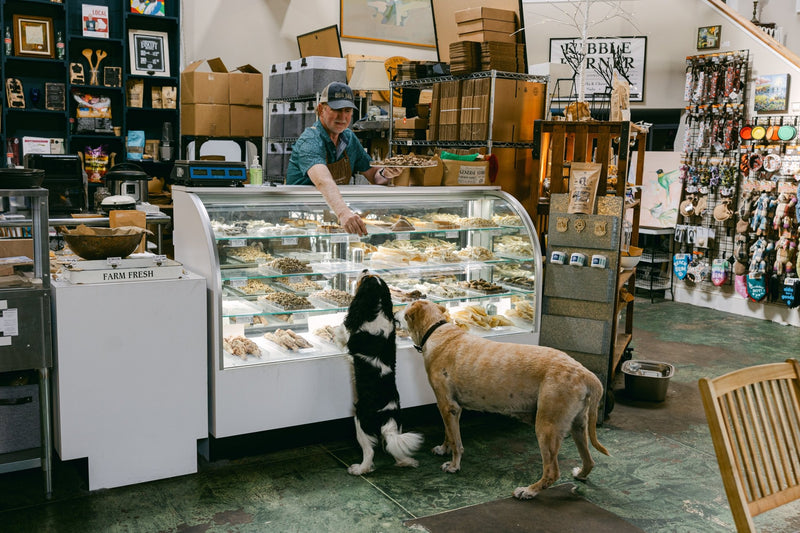 Oliver Bentleys Dog Deli & Human Hangout - Tiny Guide